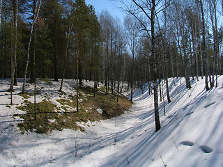 Image showing Ravine under the Snow