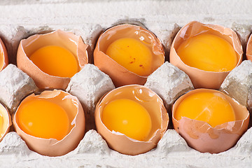 Image showing raw eggs