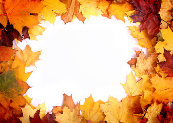 Image showing autumn leaves