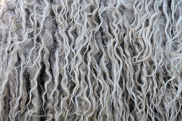 Image showing fleece background