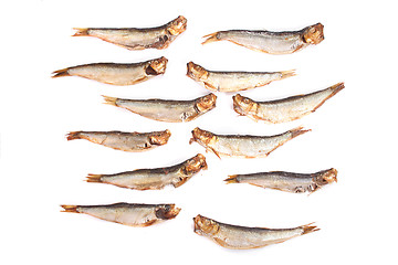 Image showing fishes