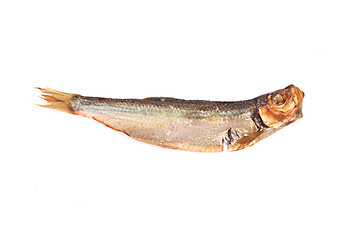 Image showing fish