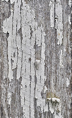 Image showing old grungy wood background texture