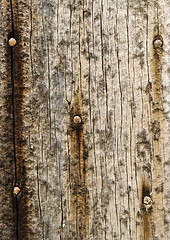 Image showing old grungy wood background texture