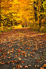 Image showing Autumn path