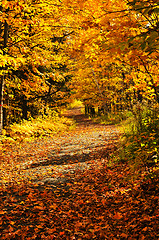 Image showing Autumn path