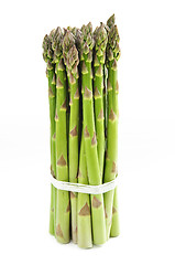 Image showing Asparagus