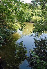 Image showing Scenic river landscape