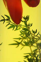 Image showing Chillies And Thyme 4
