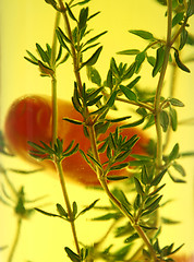 Image showing Suspended Chillies And Thyme