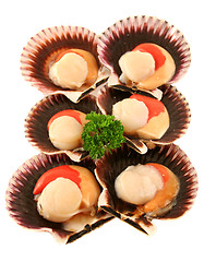 Image showing Fresh Sea Scallops