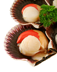 Image showing Fresh Sea Scallops