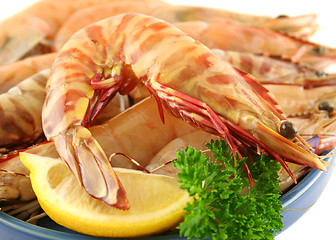 Image showing Green Tiger Prawn