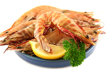 Image showing Fresh Green Tiger Prawns