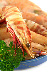 Image showing Fresh Green Shrimps