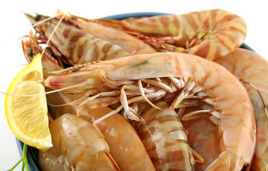 Image showing Fresh Green Shrimps