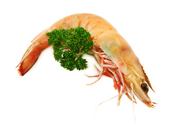 Image showing Prawn And Parsley