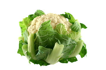 Image showing Fresh Cauliflower 1