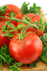 Image showing Tomatoes And Herbs 