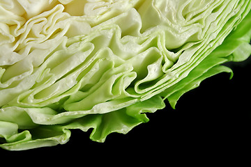 Image showing Cabbage Background