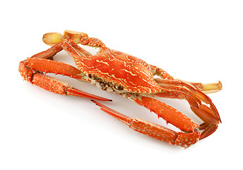 Image showing Cooked Sand Crab