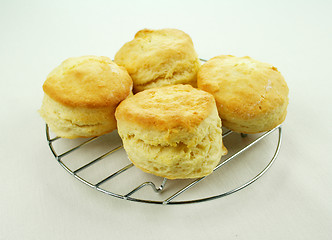 Image showing Fresh Baked Scones