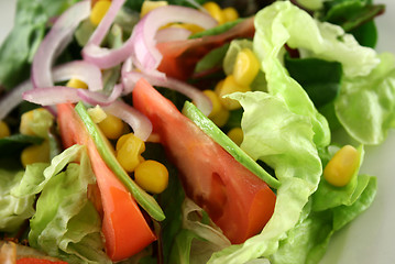 Image showing Salad Background 3