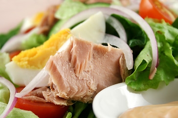 Image showing Tuna Salad