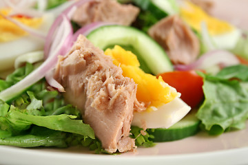 Image showing Tuna And Egg Salad