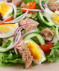 Image showing Tossed Tuna And Egg Salad