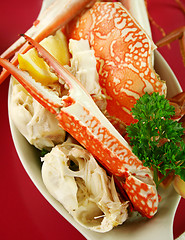 Image showing Fresh Cracked Sand Crab