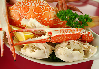 Image showing Fresh Cracked Sand Crab