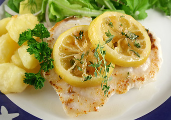 Image showing Lemon Perch