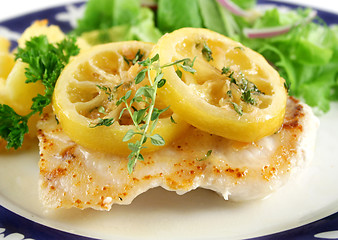 Image showing Panfried Lemon Perch