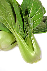 Image showing Bok Choy 2