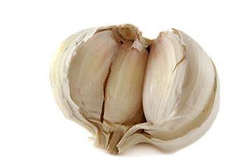 Image showing Fresh Garlic
