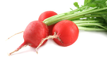 Image showing Freshly Harvested Radishes