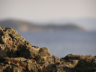 Image showing Dirt Soil Rock