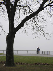 Image showing Foggy Walk