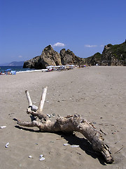 Image showing Log At Sandy Beach