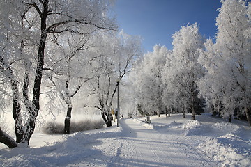 Image showing Cold day