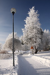 Image showing Cold day