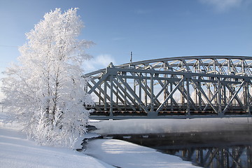 Image showing Cold day