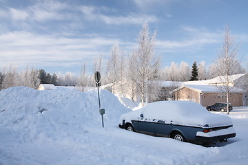 Image showing Cold day