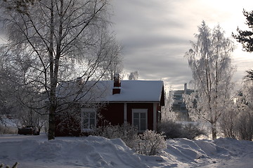 Image showing Cold day