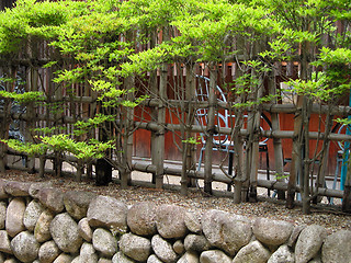 Image showing Japanese fence with green plants and rocks