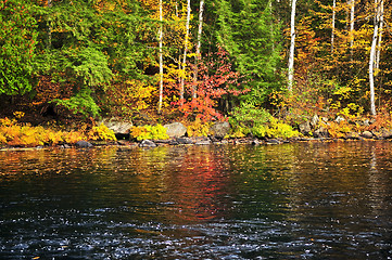 Image showing Fall forest and lake shore