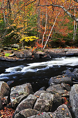 Image showing Fall forest and river landscape