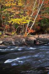 Image showing Fall forest and river landscape