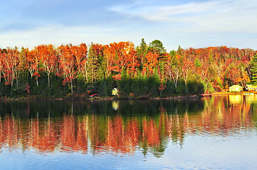 Image showing Fall forest reflections